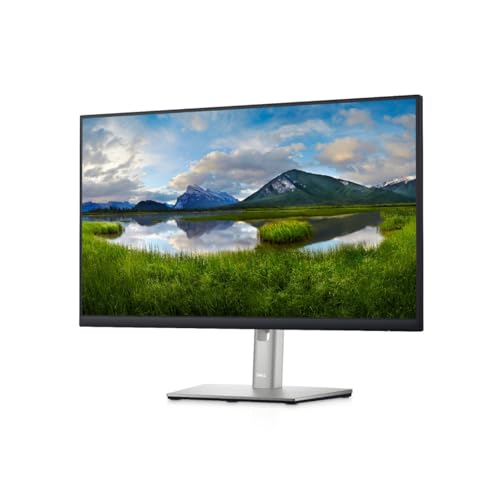 Dell 24 Monitor - P2422H - Full HD 1080p, IPS Technology, ComfortView Plus Technology